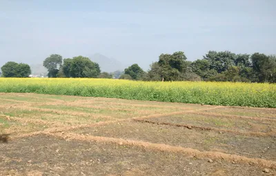 VP27+4M Bhanohad, Punjab, India preview 3