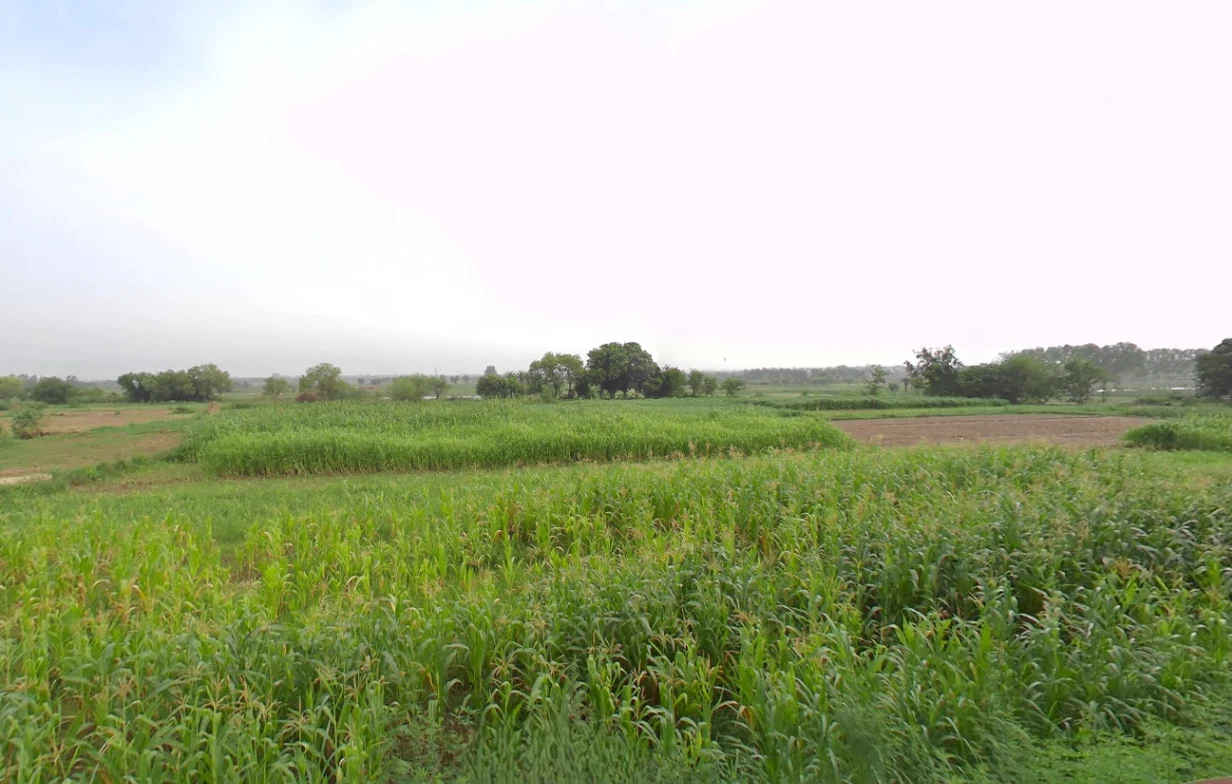 Nahan, Himachal Pradesh 173001, India preview 3