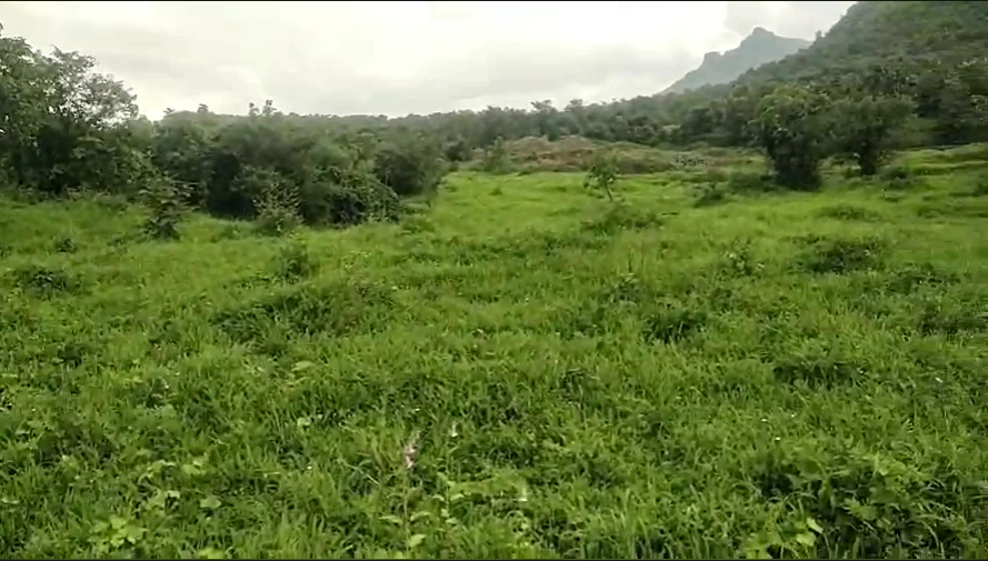 MXW7+XGJ, Palghar, Hamarapur, Maharashtra 421303, India