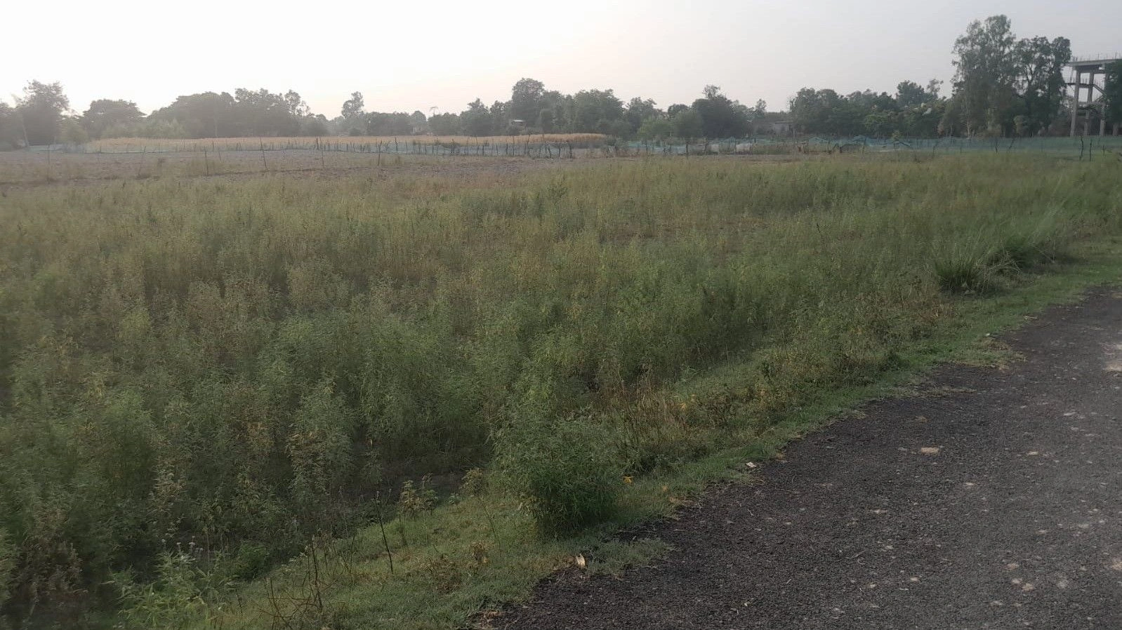 P653+73 Sukkha Pur Etaura, Uttar Pradesh, India preview 3