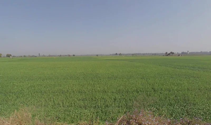 Kolkata, West Bengal, India preview 3