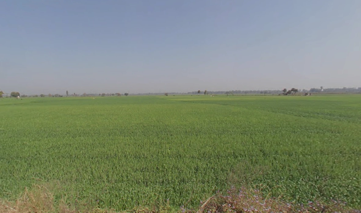 Kolkata, West Bengal, India