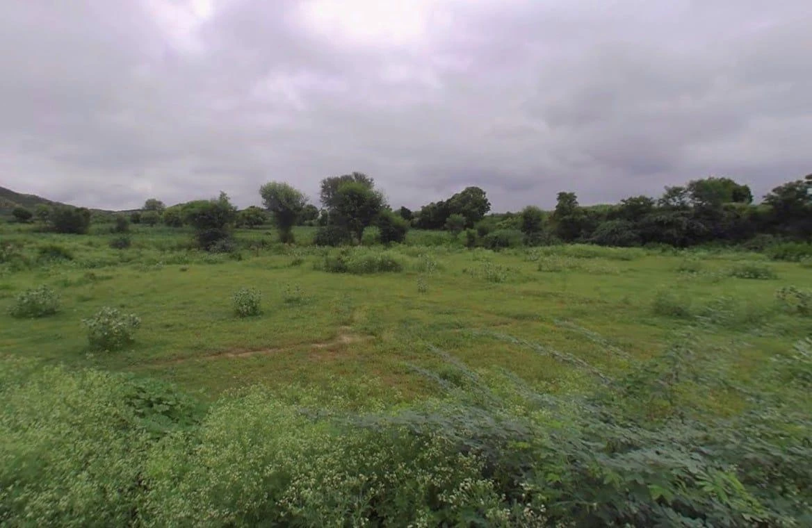 Nathdwara, Rajasthan 313301, India