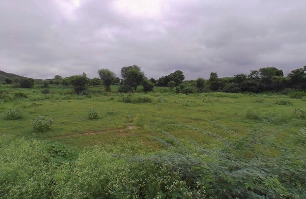 Nathdwara, Rajasthan 313301, India