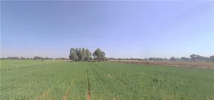 Andada, Gujarat 393010, India preview 2