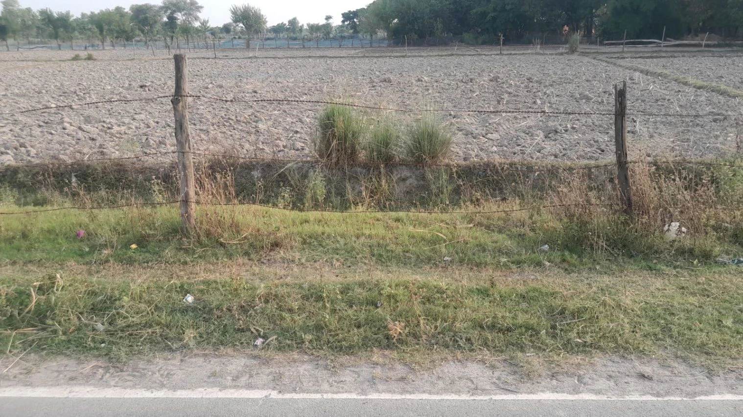 M38G+RMP, Taksara, Uttar Pradesh 224284, India