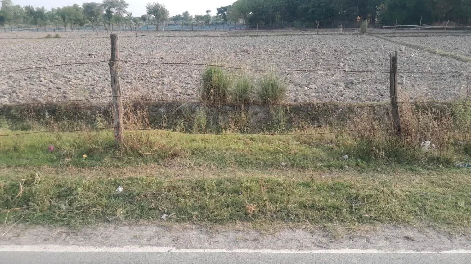 M38G+RMP, Taksara, Uttar Pradesh 224284, India
