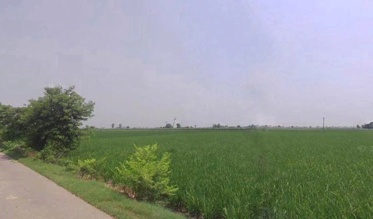 Shahbad, Haryana 136135, India