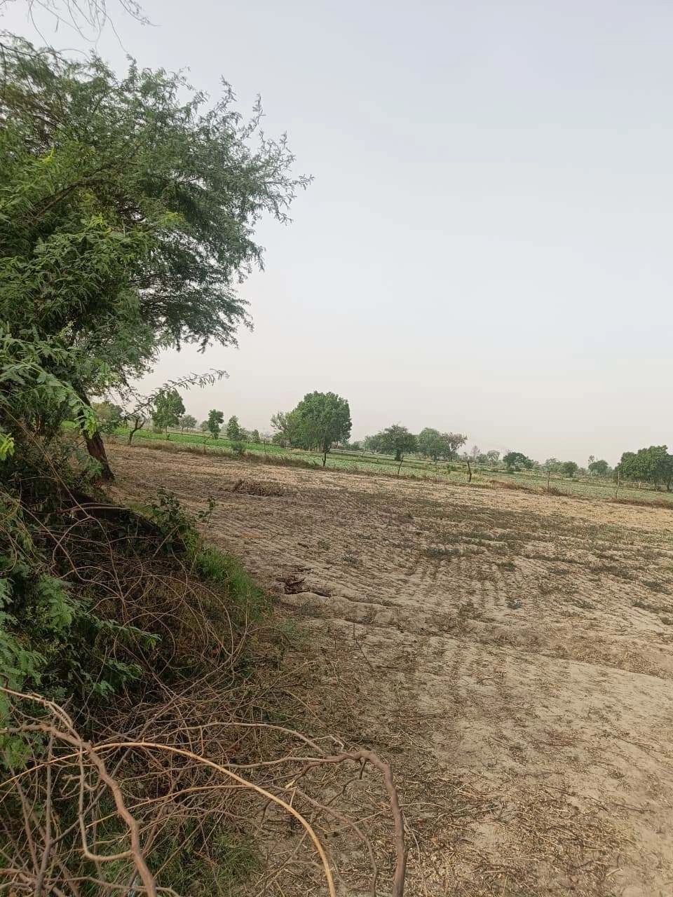 Ajhai Kalan, Uttar Pradesh 281406, India