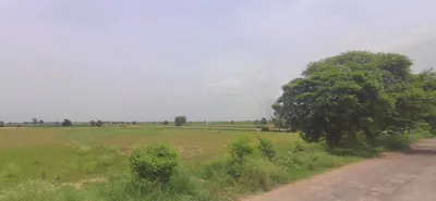 Meham, Haryana 124112, India preview 3