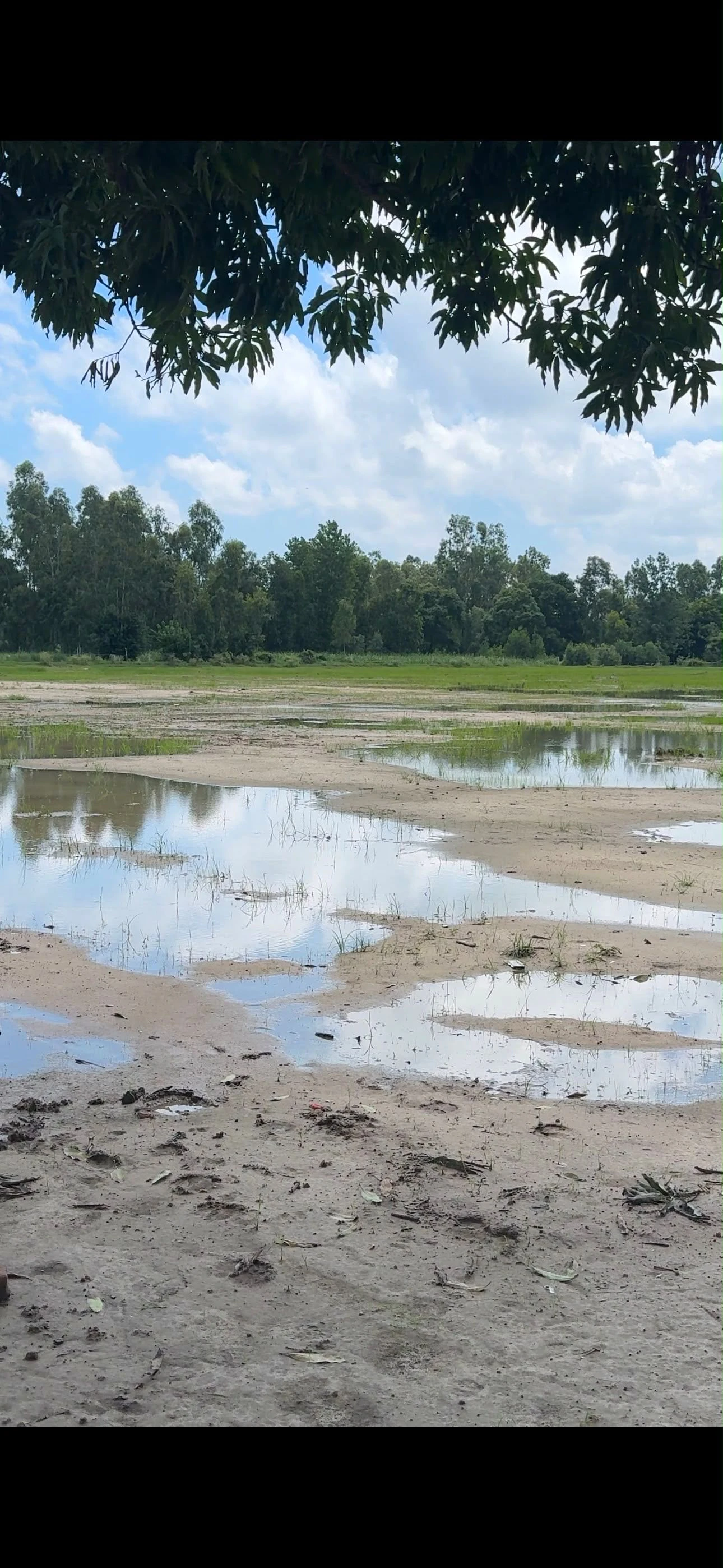 GMG9+J7 Jeora Makrandpur, Uttar Pradesh, India