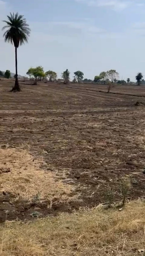 Taraisewaniya, Madhya Pradesh 462036, India