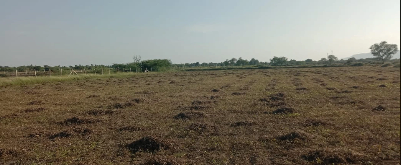 35VV+G59, Banda, Madhya Pradesh 470335, India