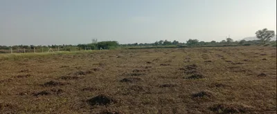 35VV+G59, Banda, Madhya Pradesh 470335, India preview 2