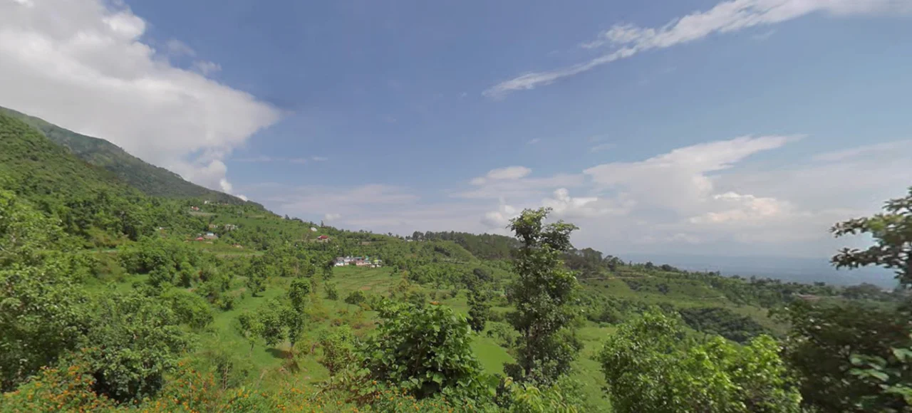 947H+85, Banvtha, Uttarakhand 248008, India preview 3