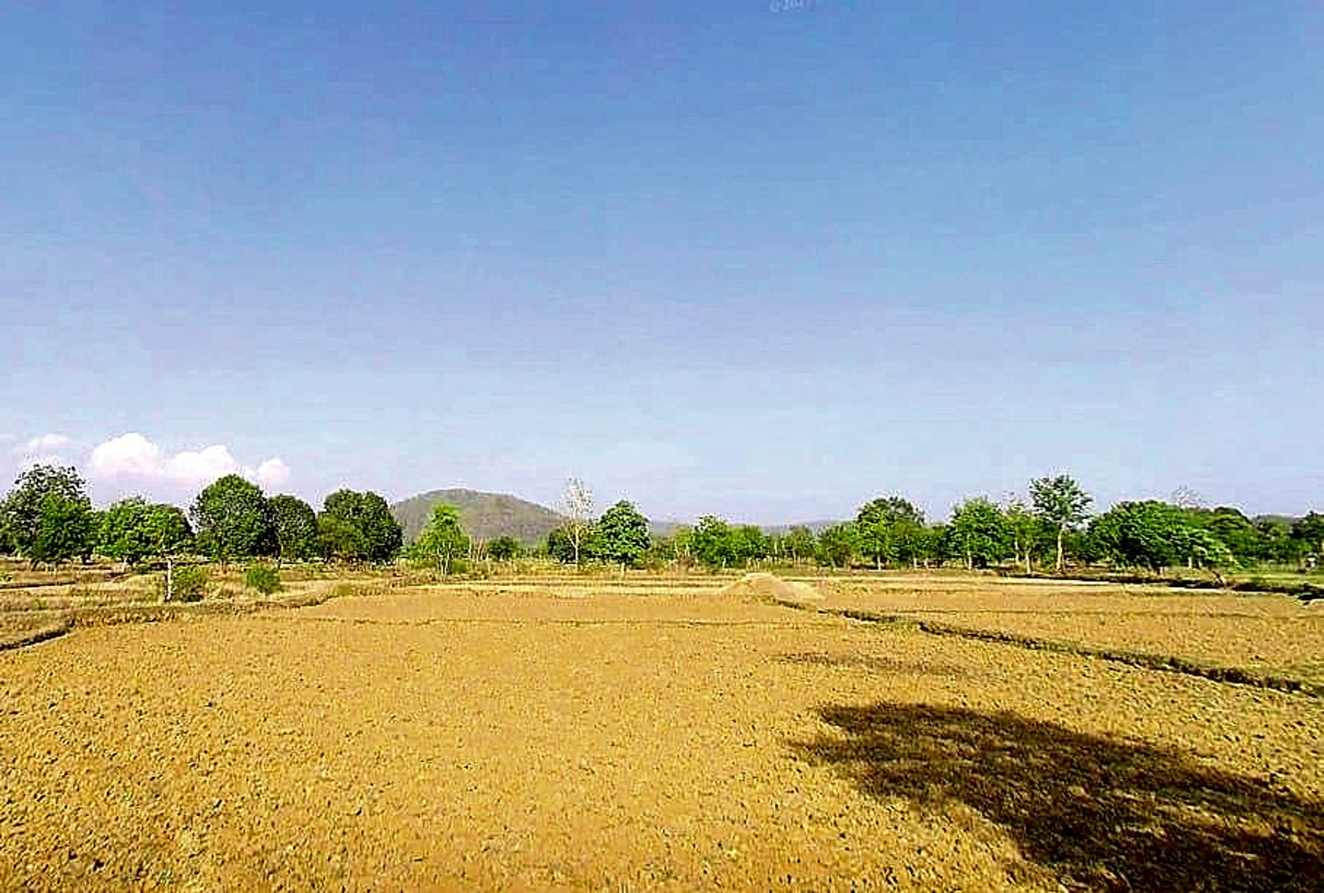 Agarpura, Rajasthan 311011, India