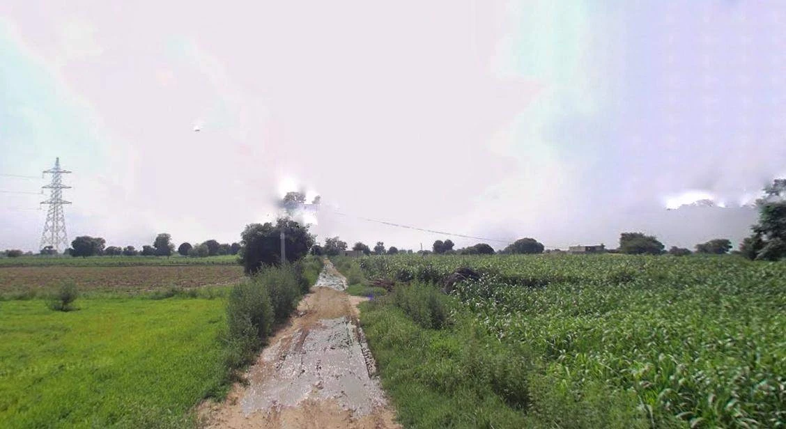 Jhajjar, Haryana 124103, India