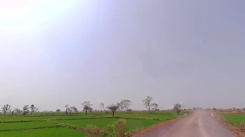 Bemetara, Chhattisgarh 491335, India preview 3