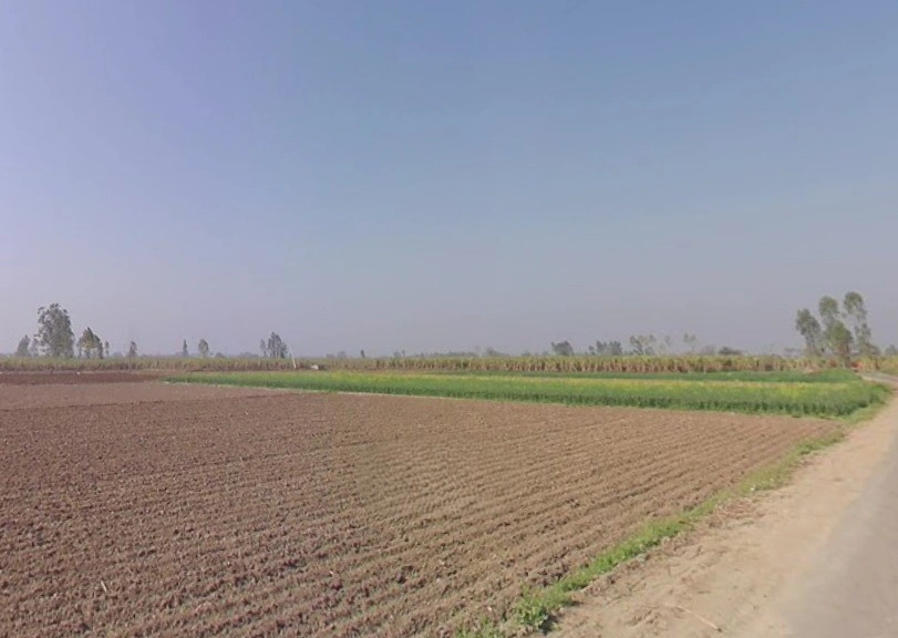 Mawana-Kithaur-Hapur Marg, Kithaur, Uttar Pradesh, India