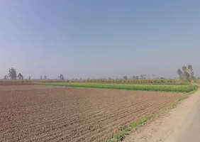 Mawana-Kithaur-Hapur Marg, Kithaur, Uttar Pradesh, India preview 2