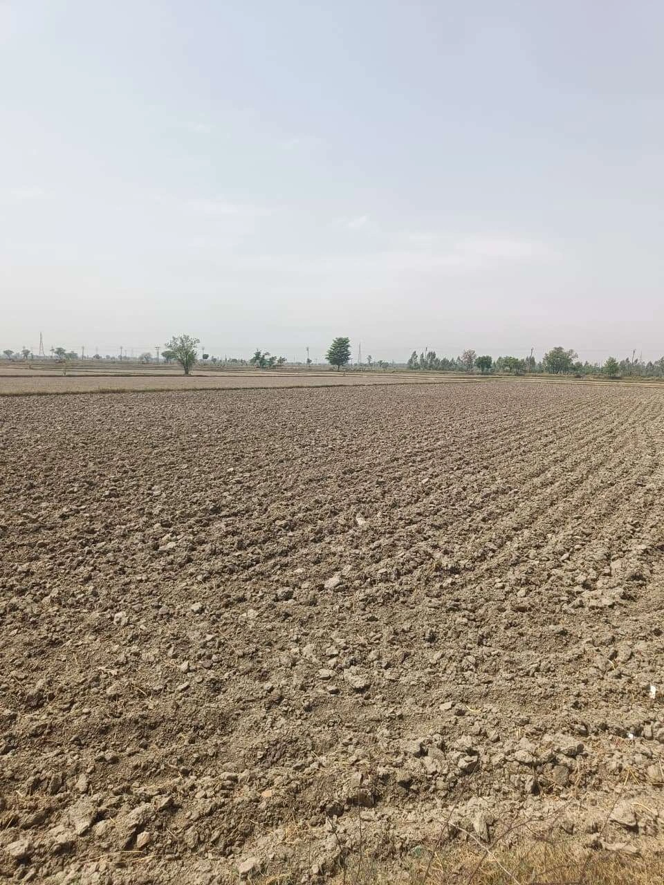 Aou, Rajasthan, India