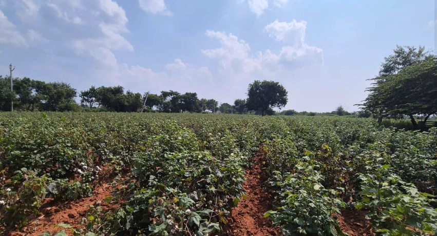 PW43+38 Devarakonda, Nalgonda, Telangana, India