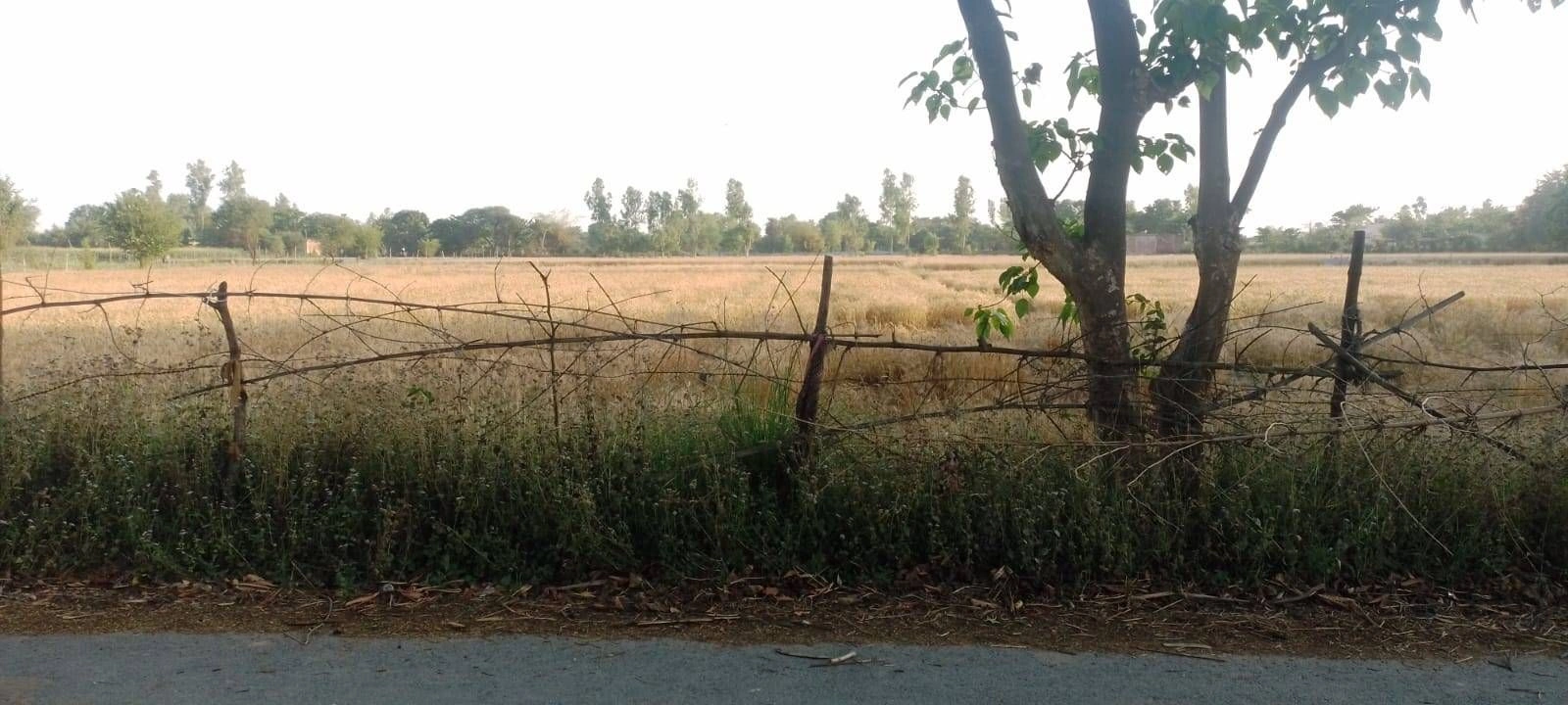 Chikan, Haryana 134102, India