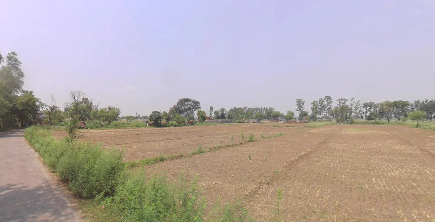 Siyana, Uttar Pradesh 203412, India