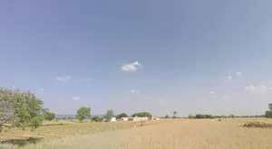 MV93+P89, Unnamed Road, Mubarikpur, Meghawas, Rajasthan 301025, India preview 2