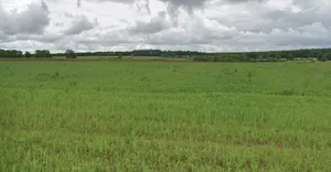 Sitamau, Madhya Pradesh 458990, India preview 3