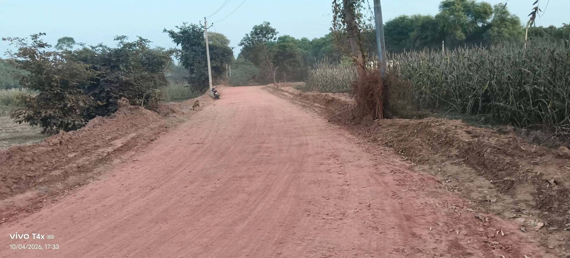 Station Road, Tundla, 283204, India