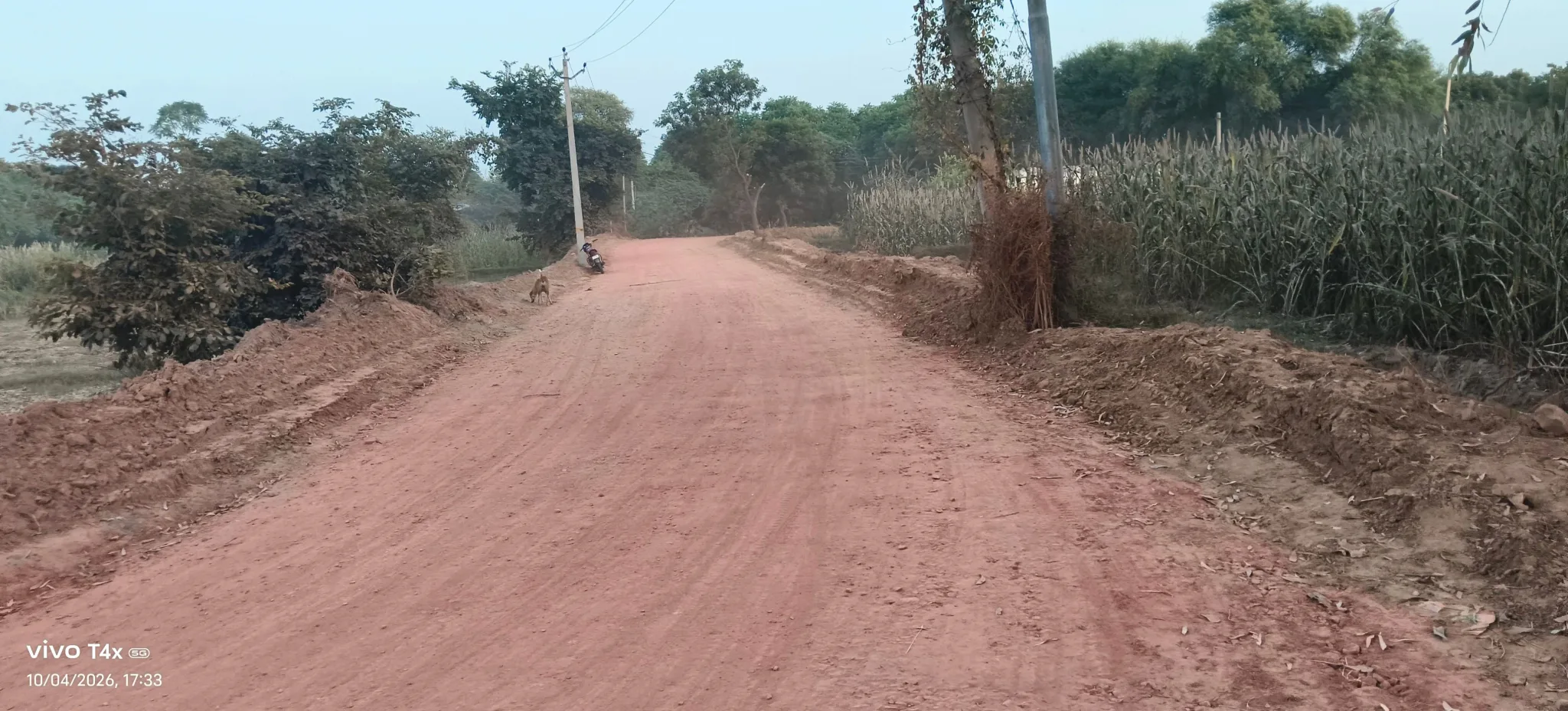 Station Road, Tundla, 283204, India - Photo 4