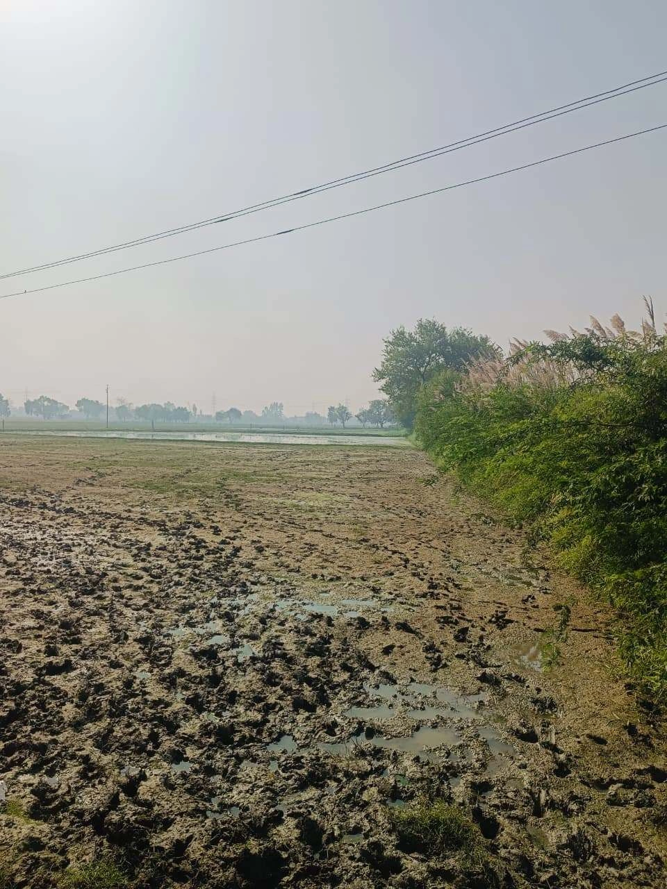 Umari, Mathura, Uttar Pradesh 281123, India - Photo 2
