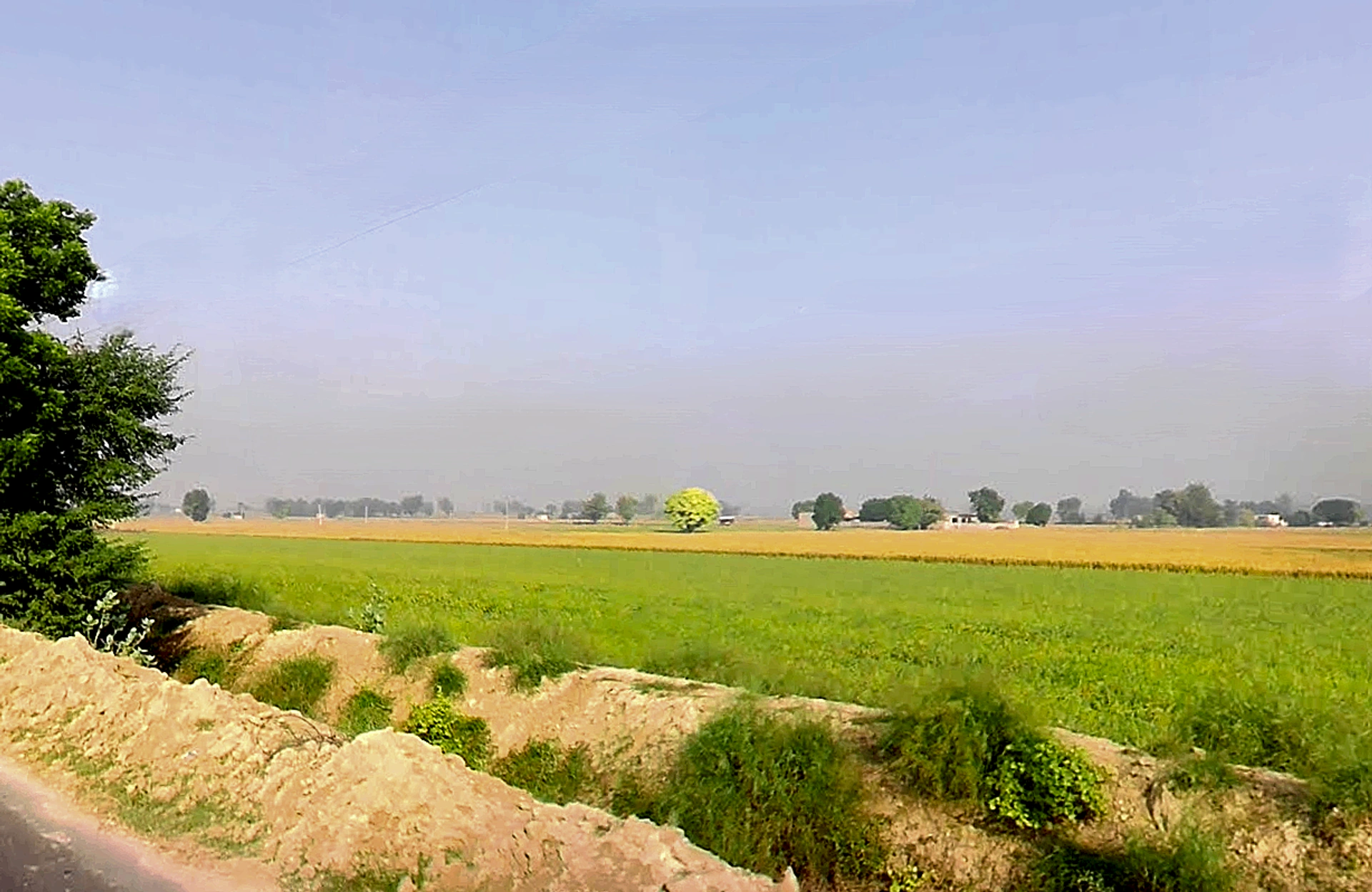 Shekhu Khera, Haryana, India