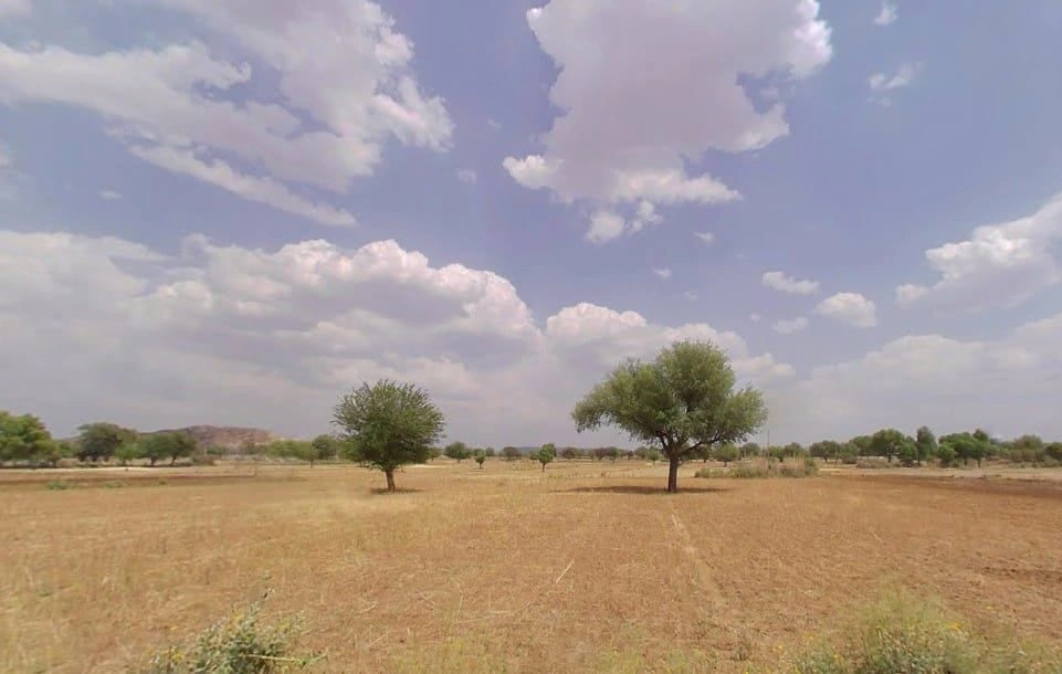 RH29+76J, Bagru, Rajasthan 303007, India