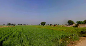 Naswari, Rajasthan 301026, India preview 3