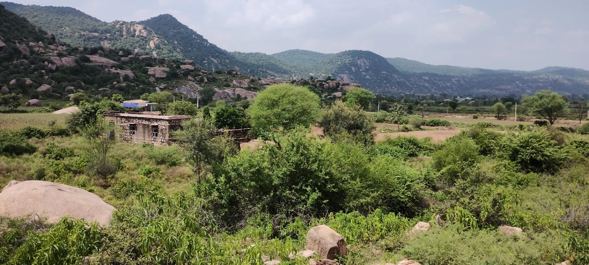 Dadhikar, Rajasthan 301001, India