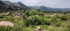 Dadhikar, Rajasthan 301001, India preview 2