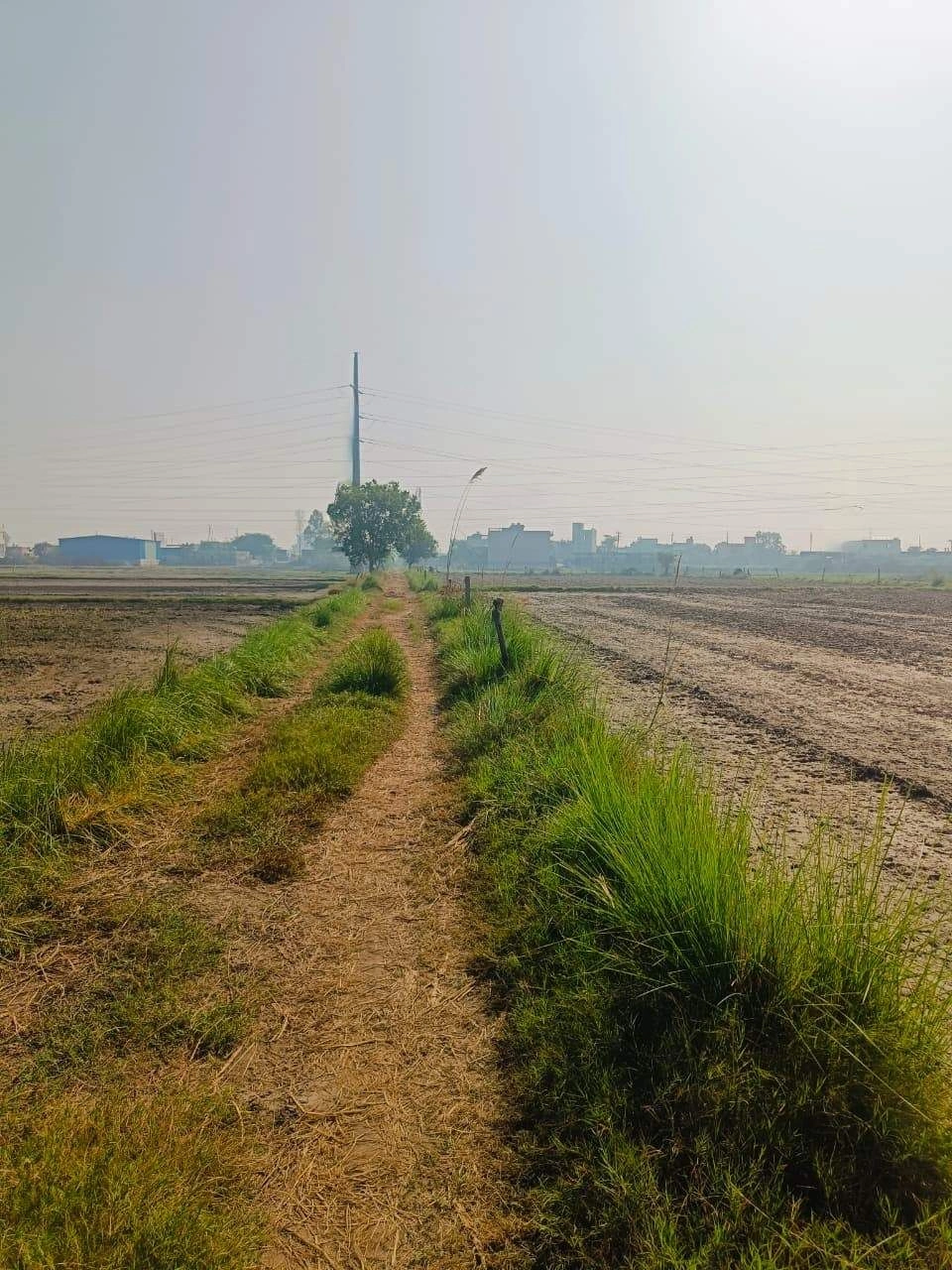 Basai, Mathura, Uttar Pradesh 281501, India - Photo 2