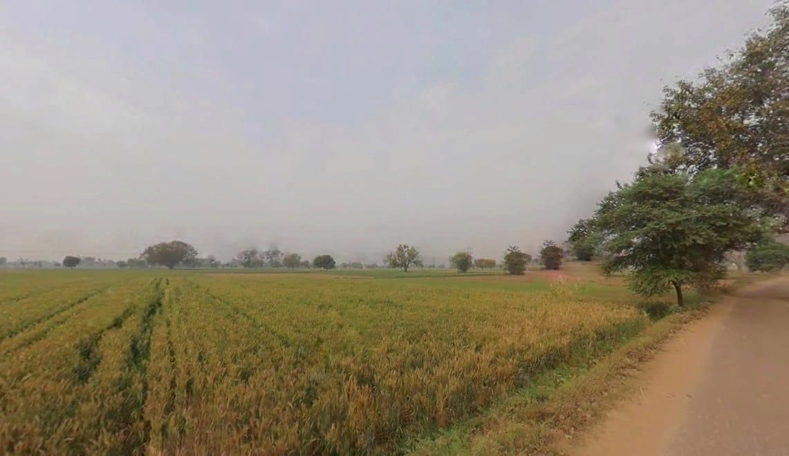 JJMJ+QFF, Ulaheri, Rajasthan 301023, India preview 3