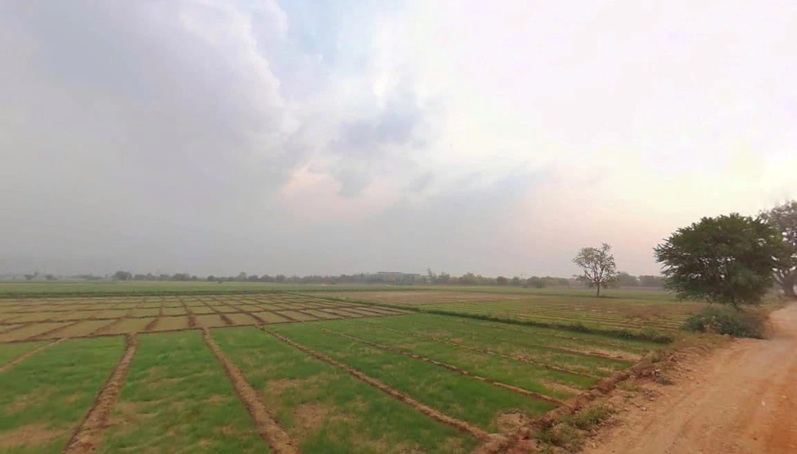 JJHP+C7V, Jahar Khera, Ulaheri, Rajasthan 301001, India preview 3