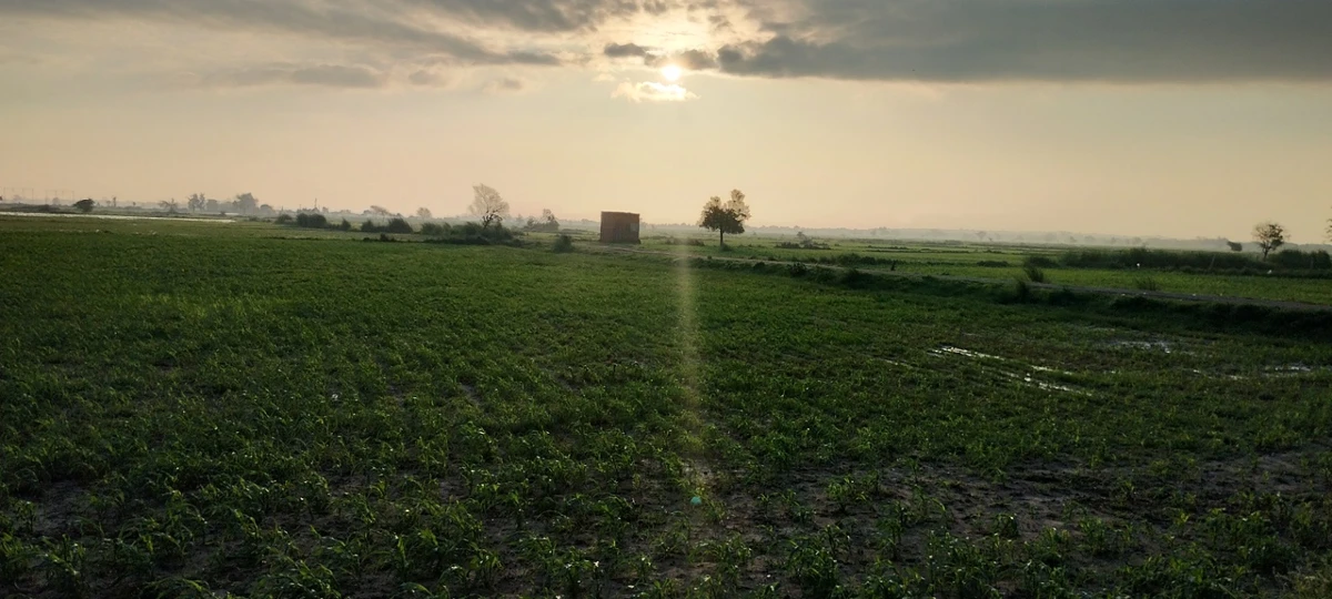 Helak, Rajasthan, India