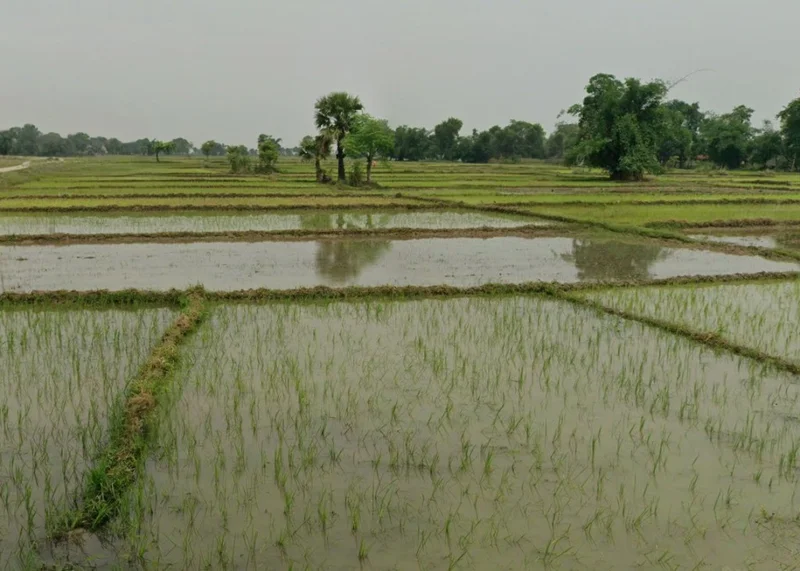 MC95+GGR, Deorbeeja, Chhattisgarh 491993, India preview 3