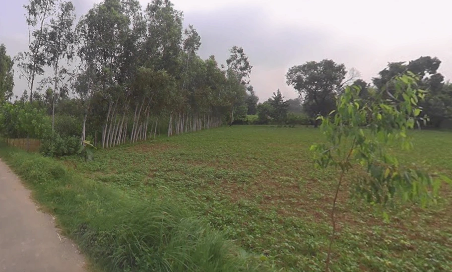 Sarsawa, Uttar Pradesh 247232, India