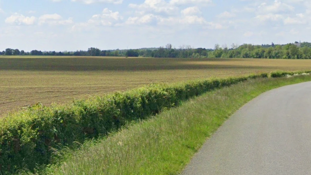 Bari, Madhya Pradesh 464668, India