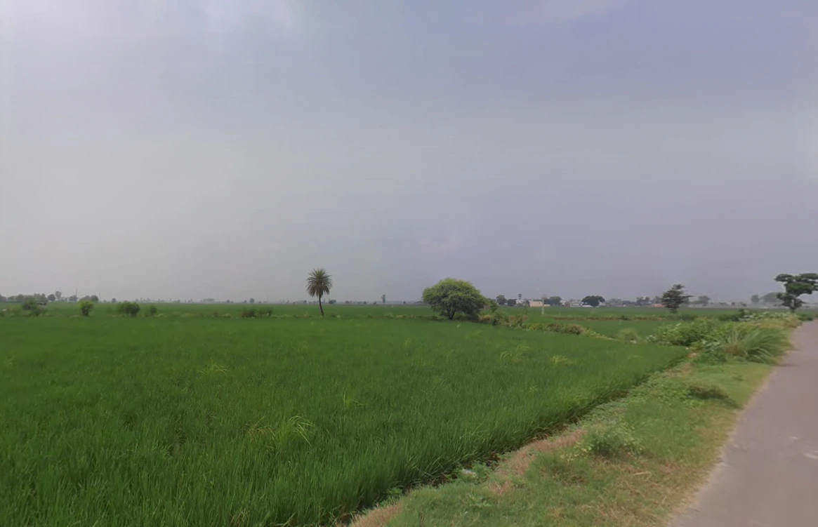 Kurar, Haryana 132104, India