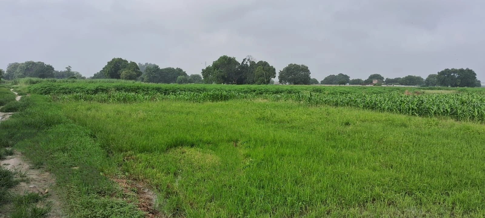 Narwal, Kanpur Nagar, Uttar Pradesh 209401, India