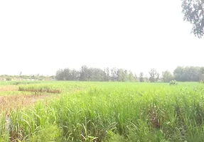 7J5M+7CW, Mirzapur Pole, Uttar Pradesh 247121, India preview 3