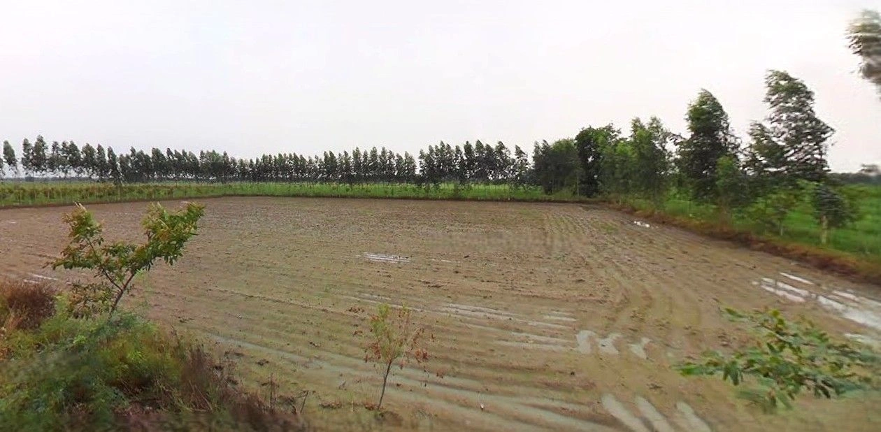 Jauli, Uttar Pradesh 251308, India