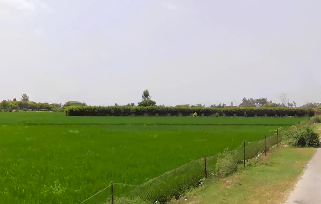Batta, Haryana 136117, India